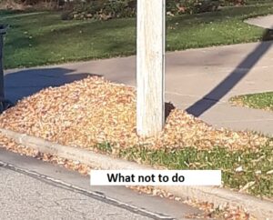 Do not place leaves near objects